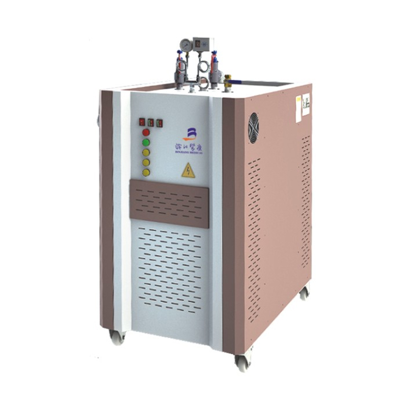 Elektrische stoomgenerator